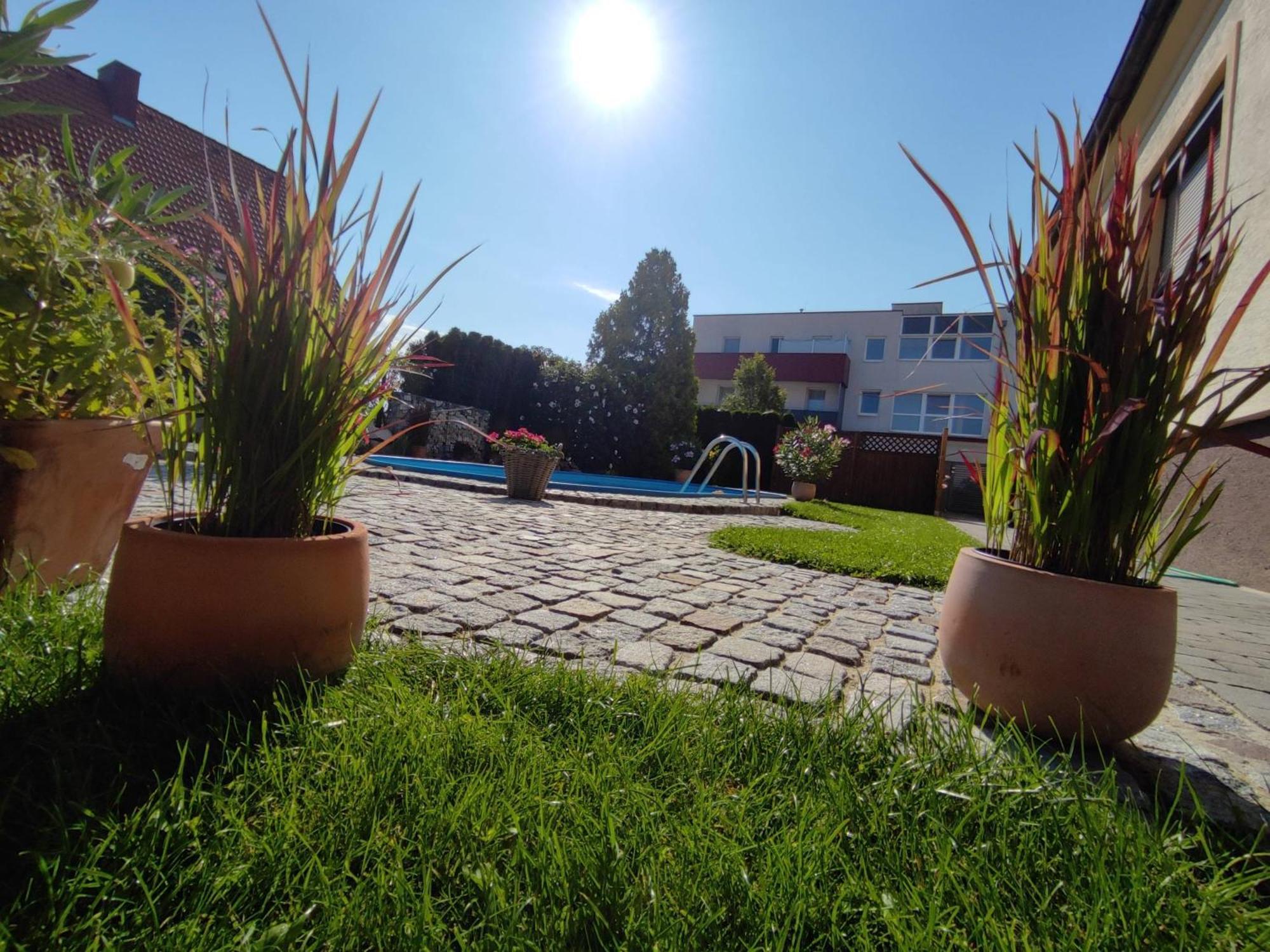 Appartement Ferienhaus Sonnenhain Sollenau Екстериор снимка
