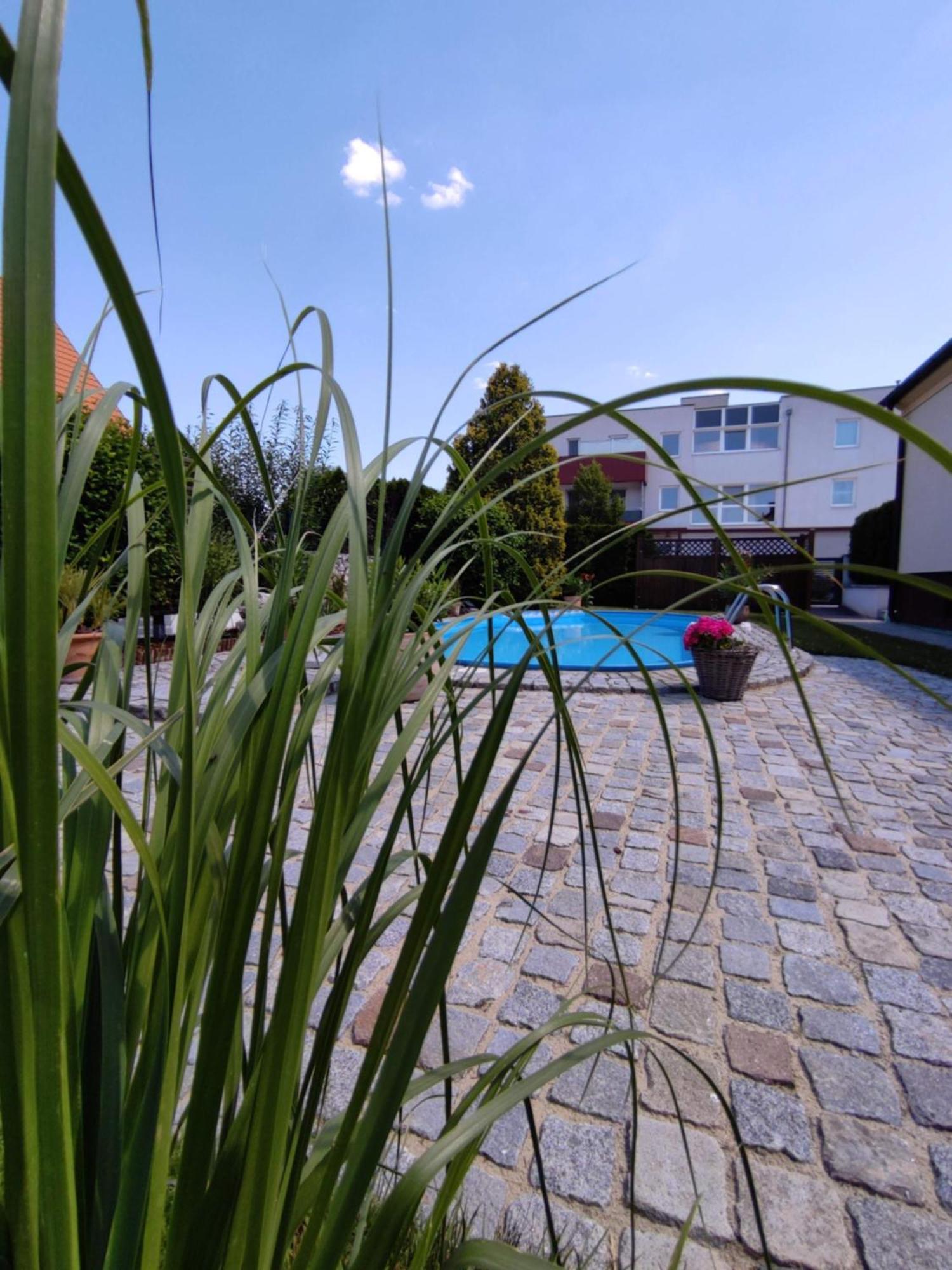 Appartement Ferienhaus Sonnenhain Sollenau Екстериор снимка