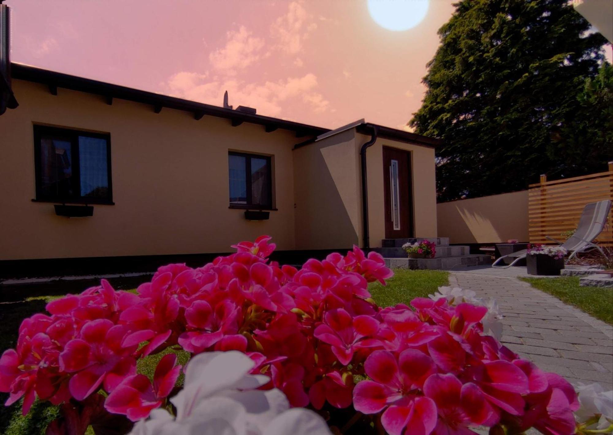 Appartement Ferienhaus Sonnenhain Sollenau Екстериор снимка