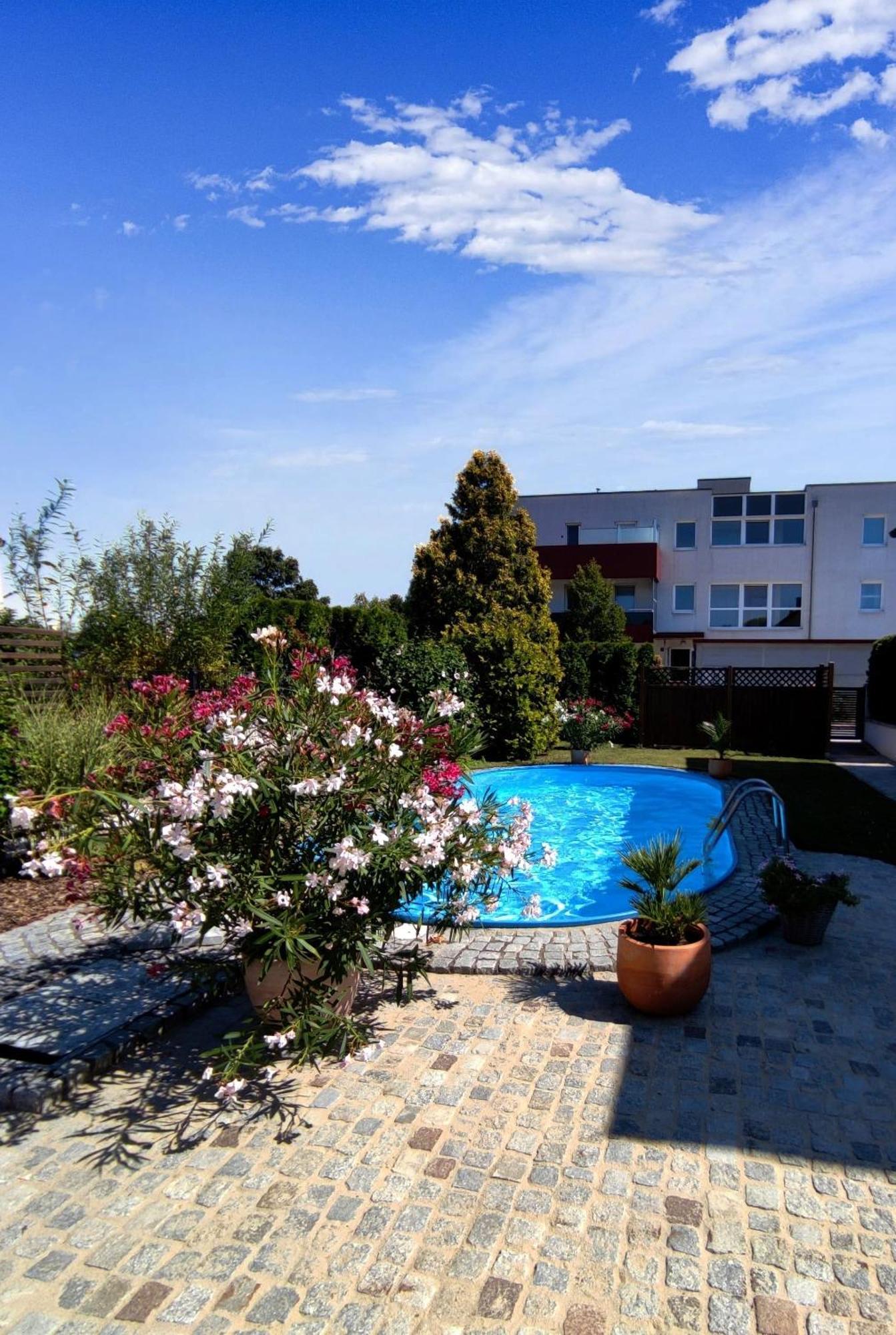Appartement Ferienhaus Sonnenhain Sollenau Екстериор снимка